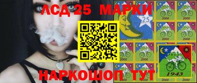 стафф Заводоуковск