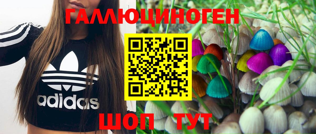 Малгобек  закладки  Галлюциногенные грибы Psilocybe  Вход с VPN  Псилоцибиновые грибы Magic Shrooms 